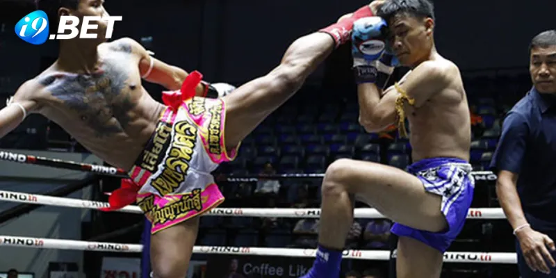 Tìm hiểu các dạng cược boxing thông dụng